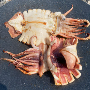 국내산 구룡포 마른오징어 파지 400g 건오징어파지 정품 동해안 해풍건조 맛있게 먹은 솔직 후기 - 상품 이미지 2