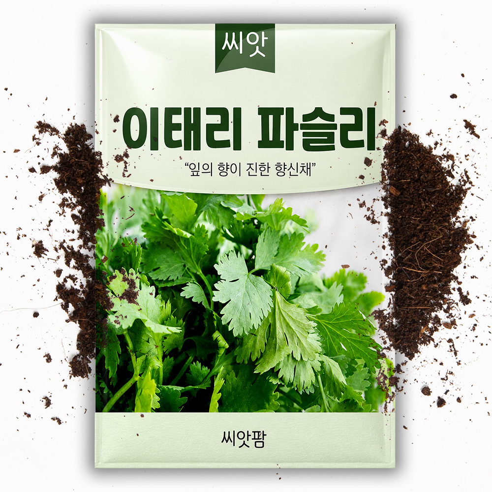 이태리 파슬리씨앗 1000립 이탈리안 향나물 채소 종자 - 상품 이미지