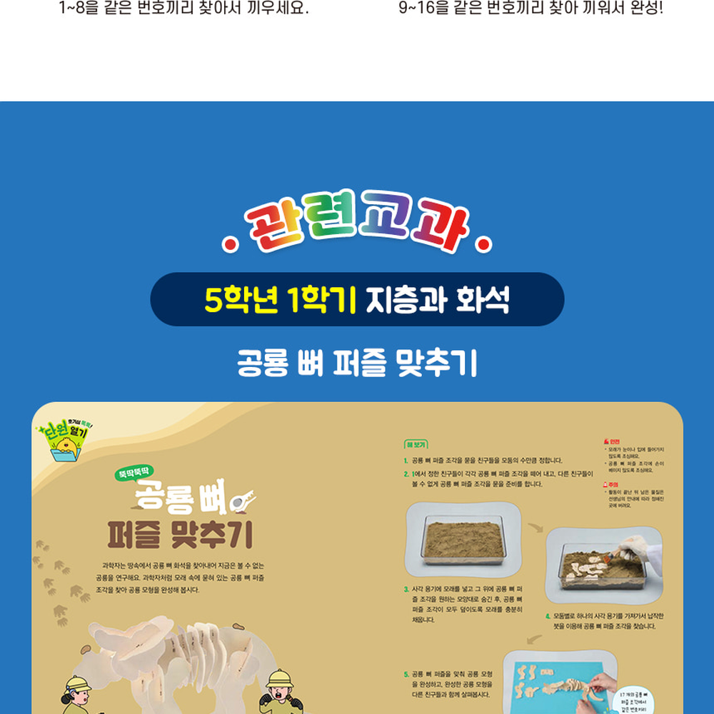 모래발굴가정학습뼈대맞추기 재미있는실험방과후과학공룡화석발굴 과학탐구초등고학년공룡뼈퍼즐 2인세트 - 상세 이미지 4