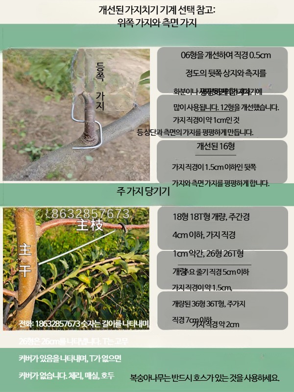 사과나무 가지유인 클립 지주대 과수원 고정 고정클립 상부 개선형 고정기구 가지 - 상세 이미지 5