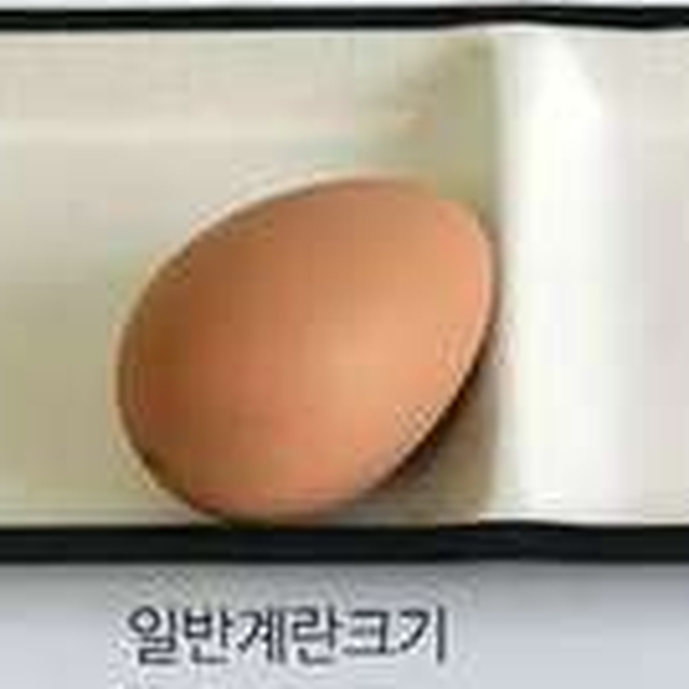 블랙앤화이트식당용나눔접시 튼튼한식기휴게소용 체크투톤업소용칸칸접시 2절찬기 - 상세 이미지 3