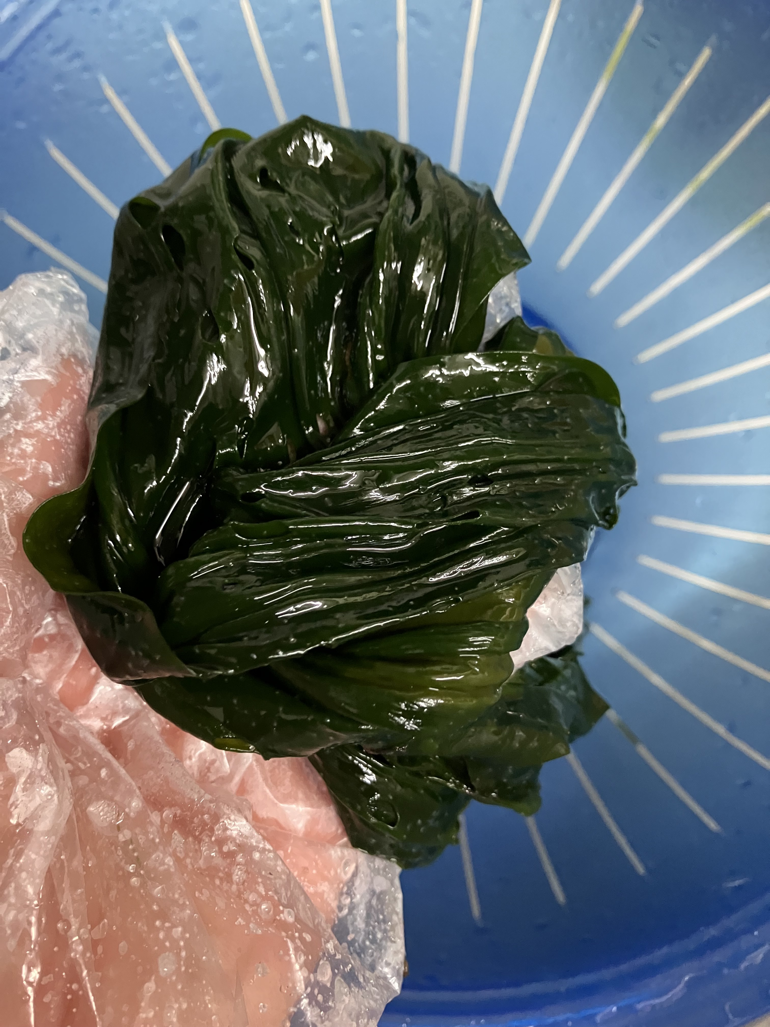 완도산 염장 곰피(쇠미역) 5kg 10kg 원산지 국산 전라남도 완도 - 상세 이미지 3