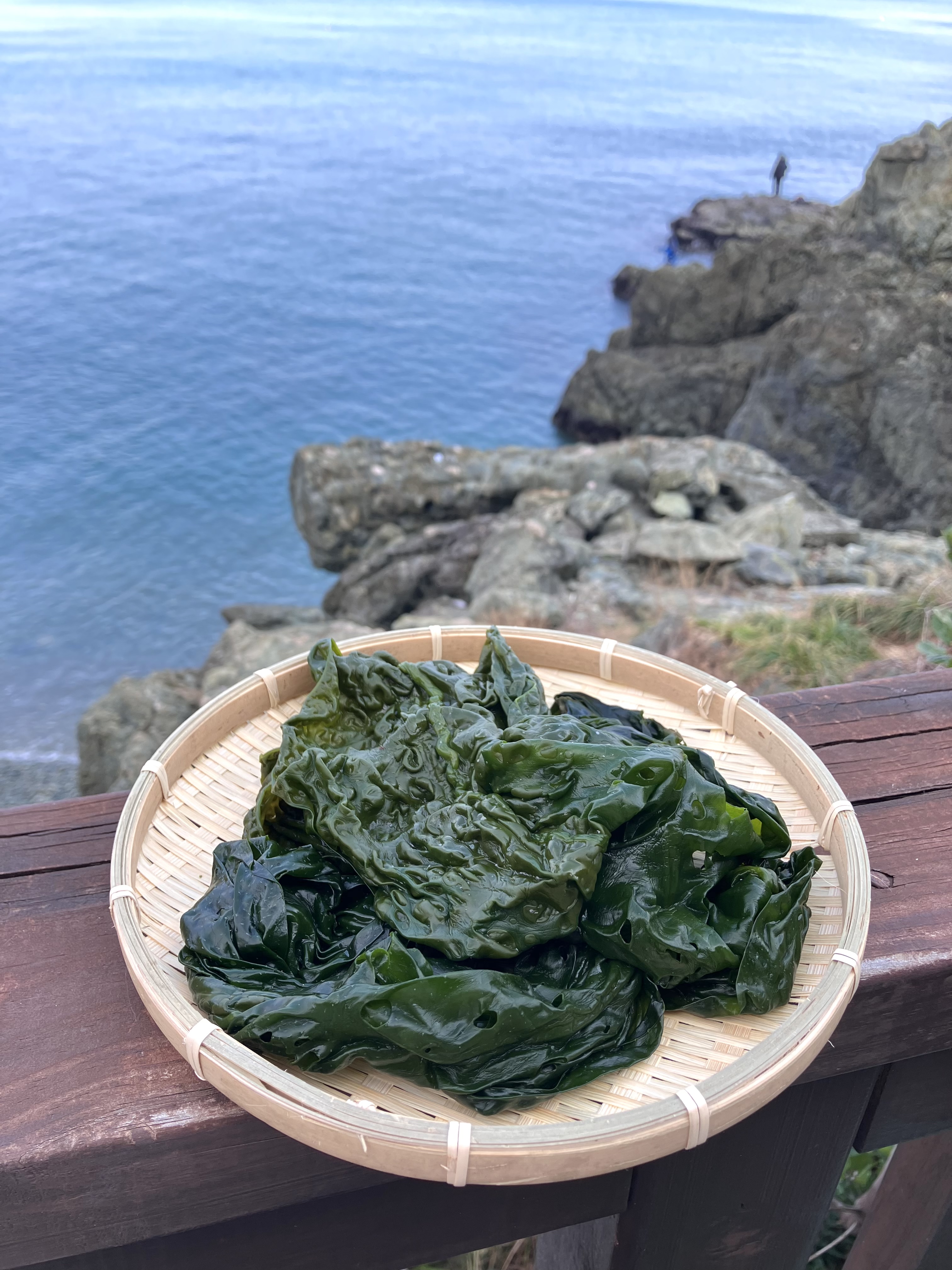 완도산 염장 곰피(쇠미역) 5kg 10kg 원산지 국산 전라남도 완도 - 상세 이미지 4