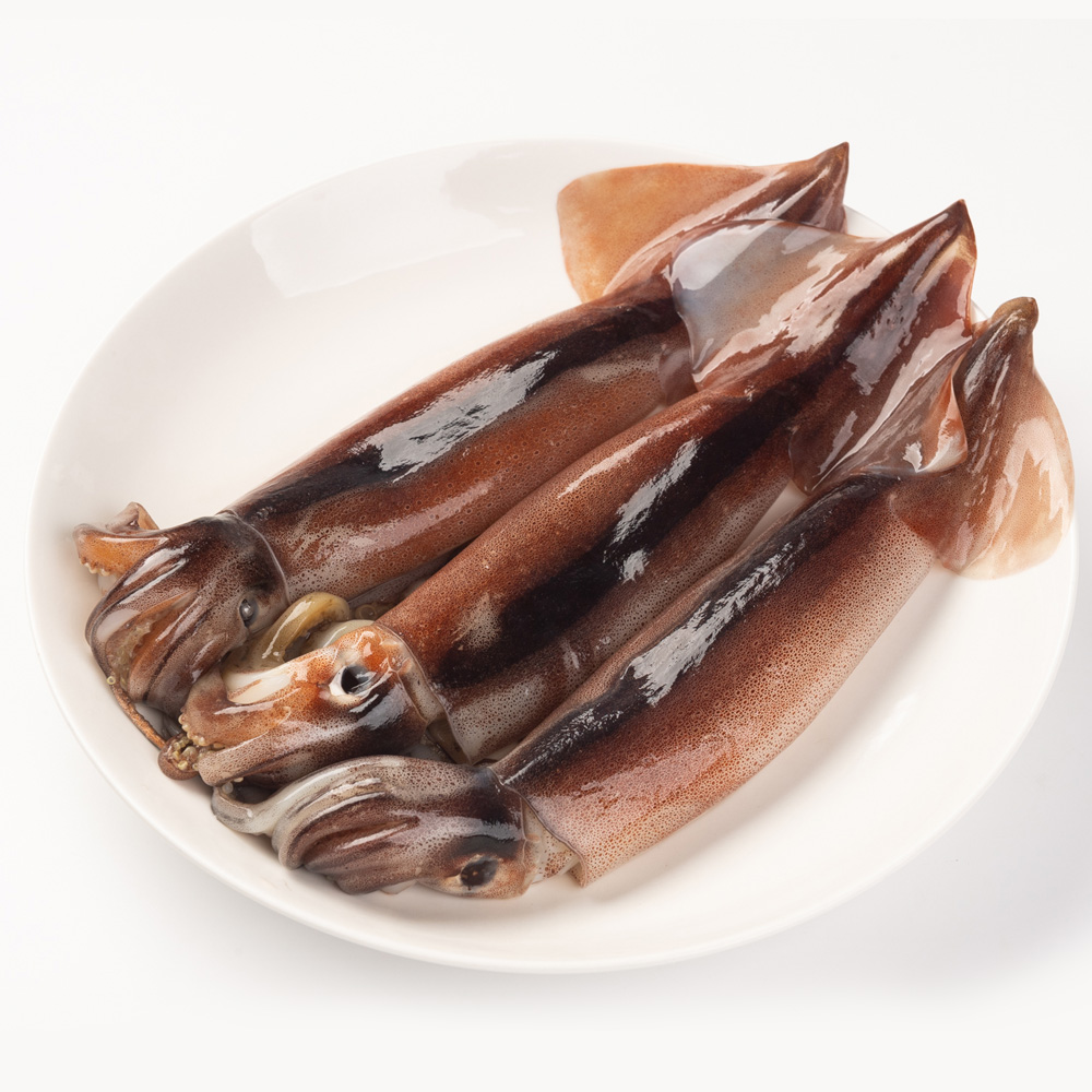 초코 오징어 750g 냉동오징어 통오징어 통찜 이미지 7