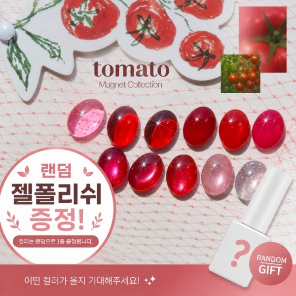 포브 토마토 12종세트 + [증정: 원형자석1개입] + [증정: 랜덤 젤폴리쉬1개] - 상품 이미지