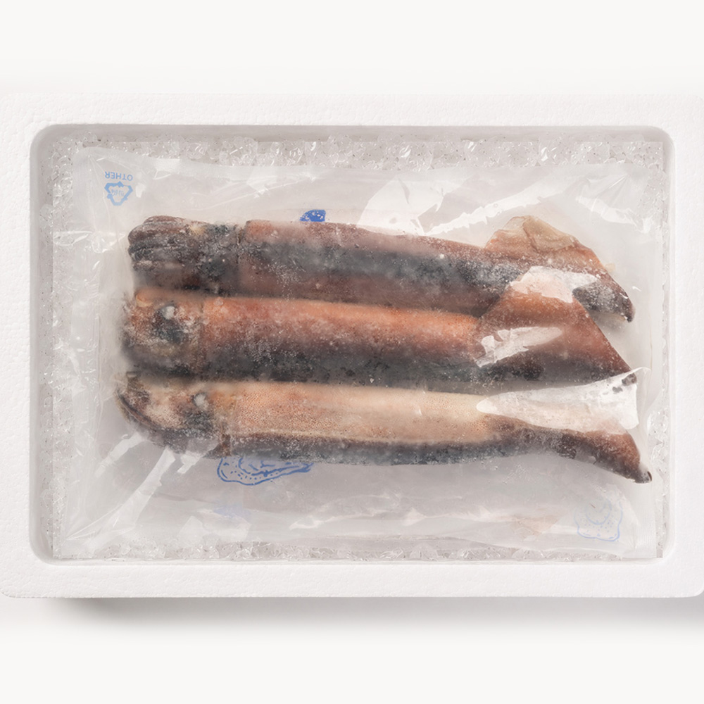 초코 오징어 750g 냉동오징어 통오징어 통찜 - 상세 이미지 4
