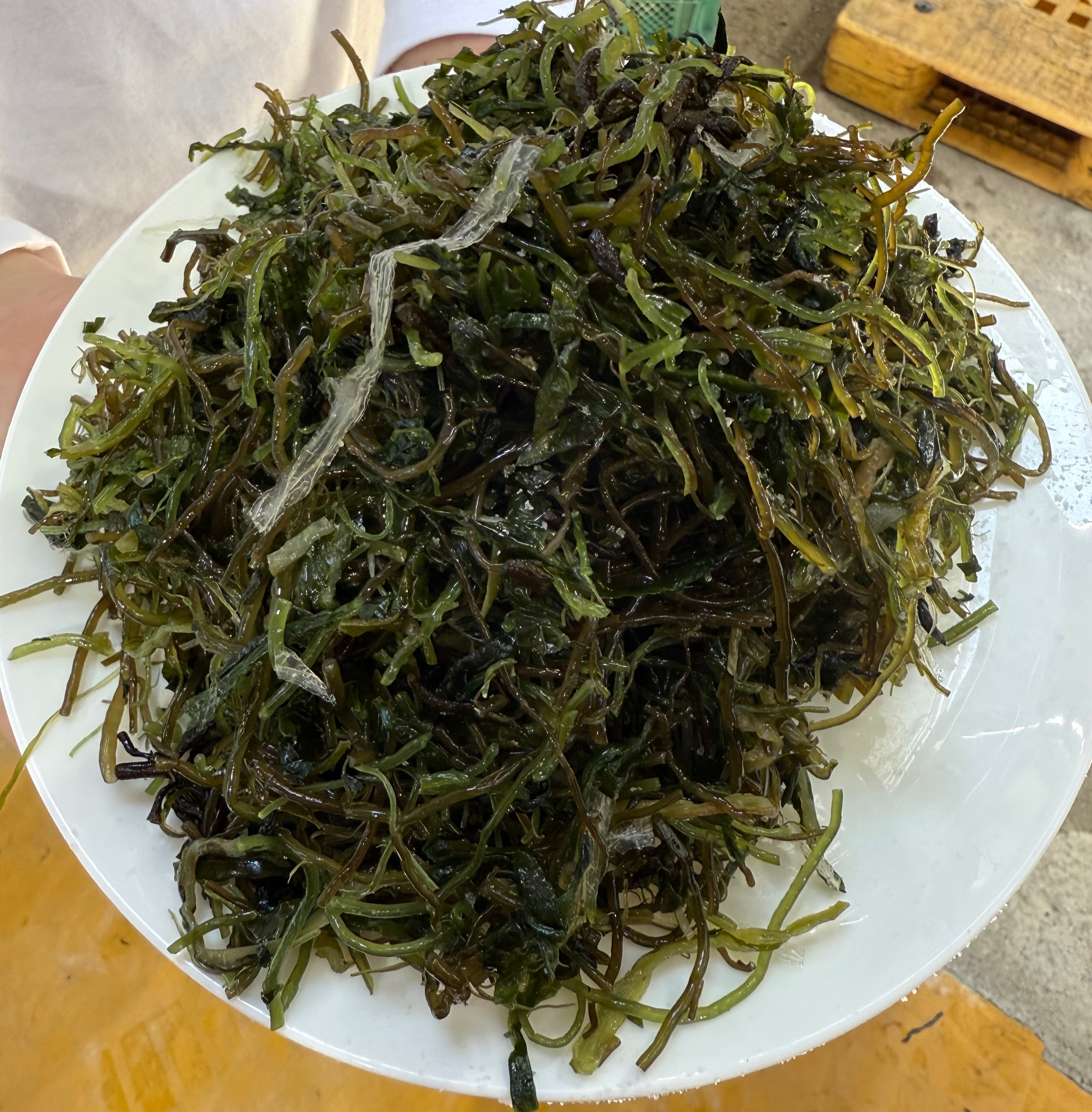 완도산 모듬해초 3kg 5kg 원산지 국산 전라남도 완도 - 상세 이미지 4