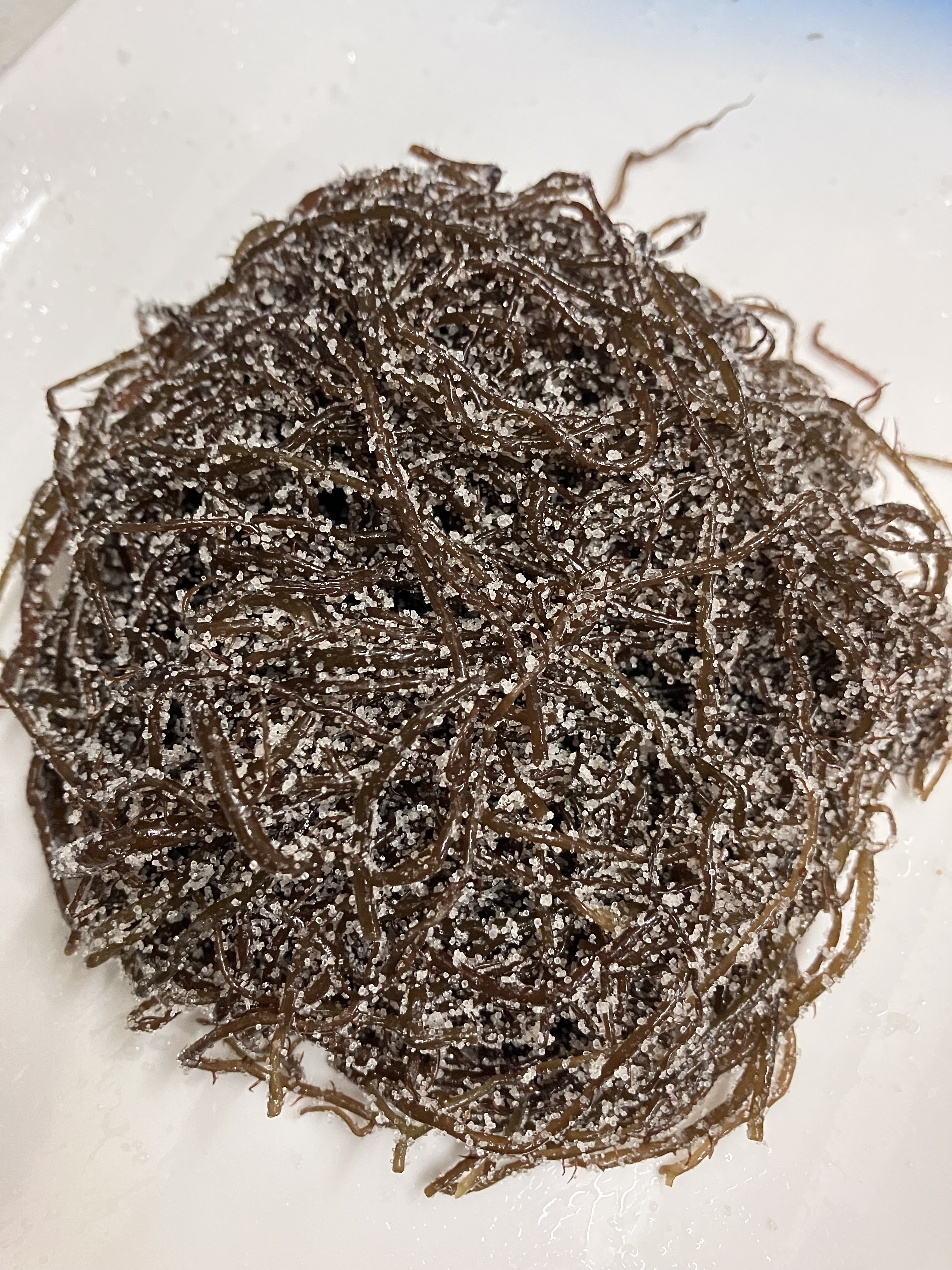 완도산 염장 꼬시래기 10kg 원산지 국산 전라남도 완도 - 상세 이미지 3