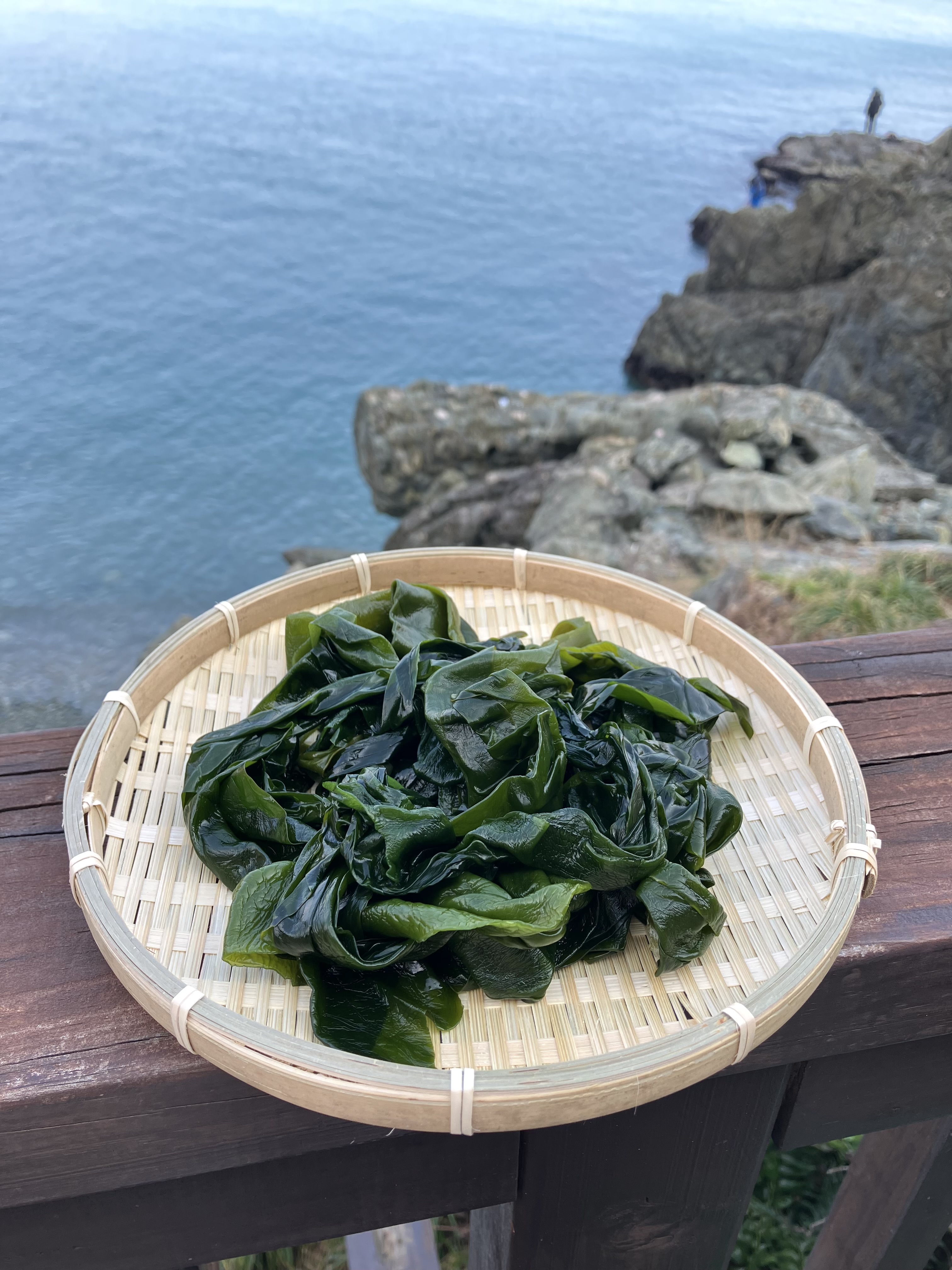 완도산 염장 쌈다시마 3kg 5kg 10kg 원산지 국산 전라남도 완도 이미지 7