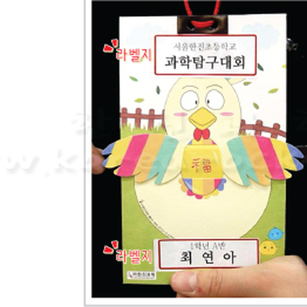 원리체험물리법칙자기력놀이 꼬꼬닭초등과학자석밀고당기기 동물모양방과후수업자석놀이 5인세트 - 상세 이미지 4