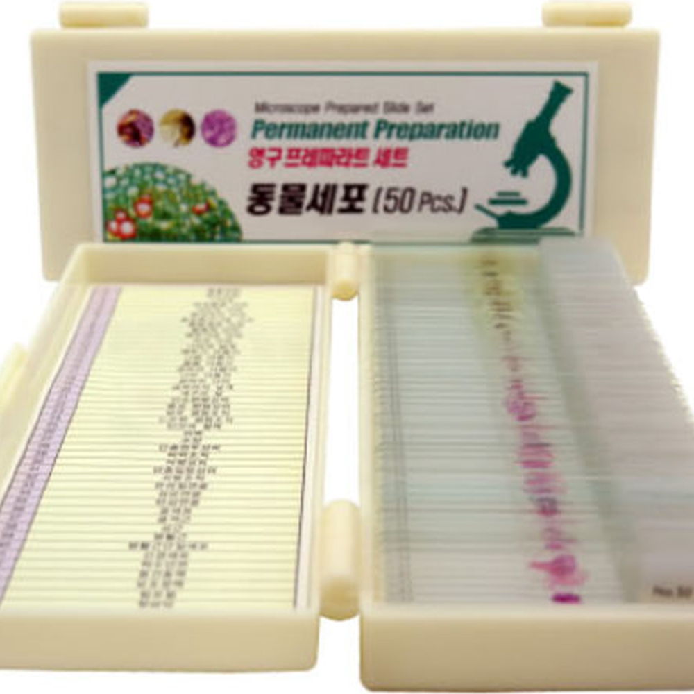 동식물세포현미경관찰프레파라트세트 미생물관찰생물탐구영구프레파라트 초등과학교구현미경슬라이드 - 상세 이미지 3