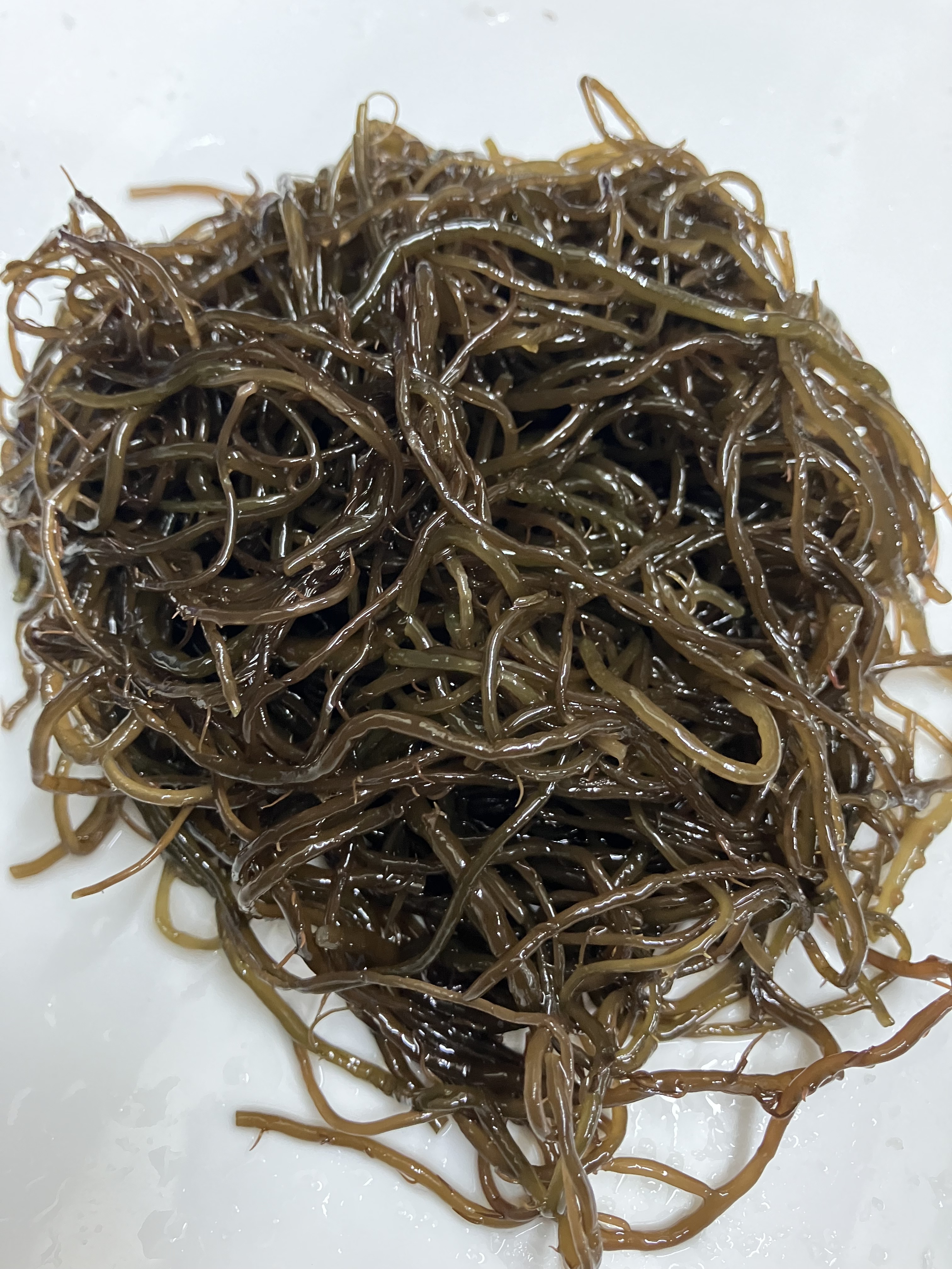 완도산 염장 꼬시래기 10kg 원산지 국산 전라남도 완도 - 상세 이미지 2