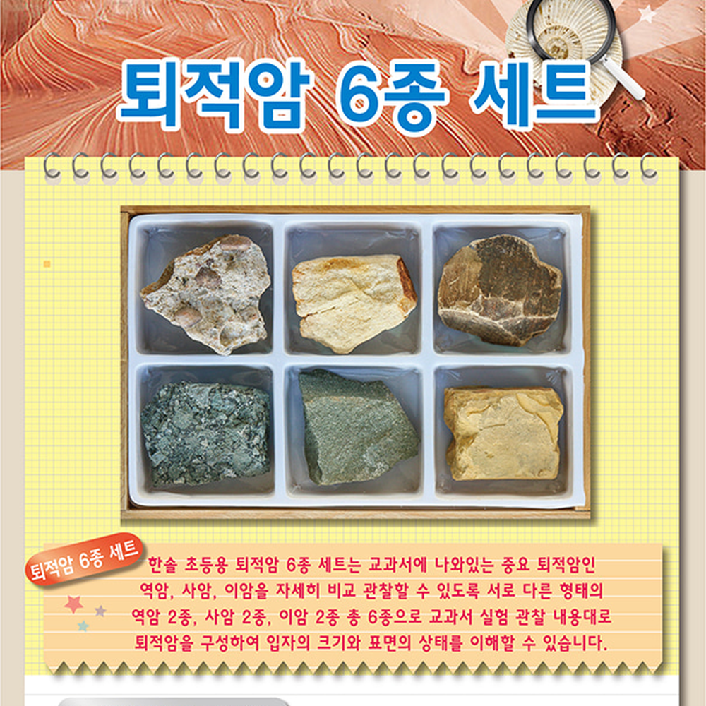 초등교과연계과학실험지질표본 한솔초등용퇴적암세트 역암사암이암방과후수업암석표본 - 상세 이미지 3