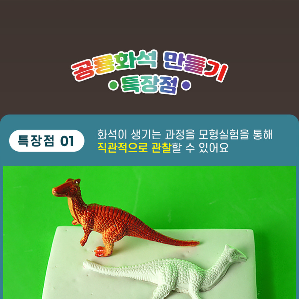 방과후수업공룡모형화석 점토놀이과학실험 초등고학년공룡화석만들기 4인세트 - 상세 이미지 2