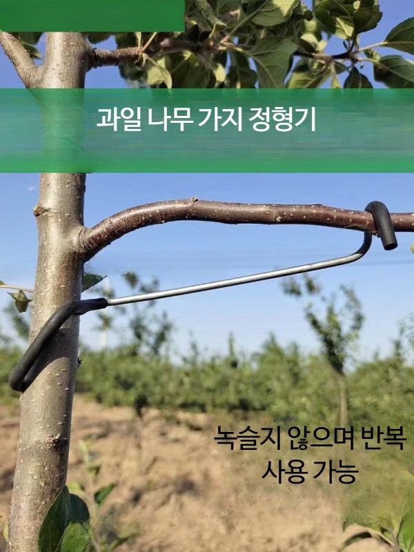 사과나무 가지유인 클립 지주대 과수원 고정 고정클립 상부 개선형 고정기구 가지 - 상세 이미지 2