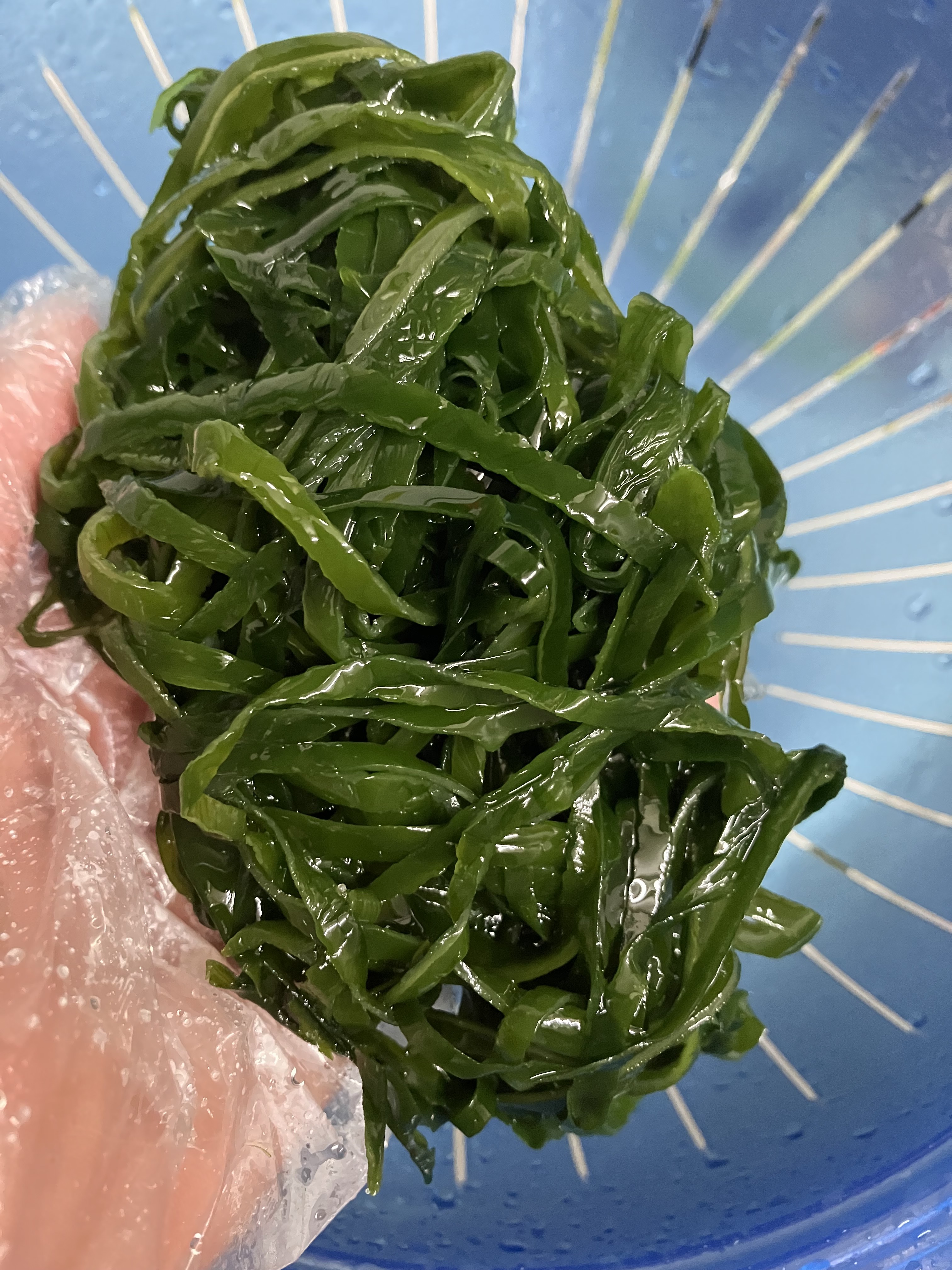 완도산 염장 채다시마 5kg 10kg 원산지 국산 전라남도 완도 - 상세 이미지 4