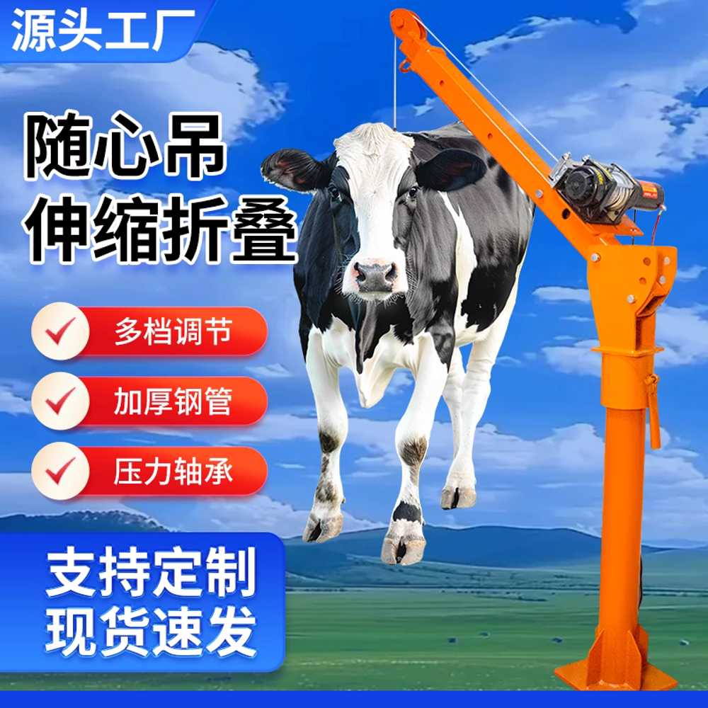 차량 탑재 크레인 인양기 와이어 견인 호이스트 윈치 12V 500kg 대형 유선 - 상세 이미지 2