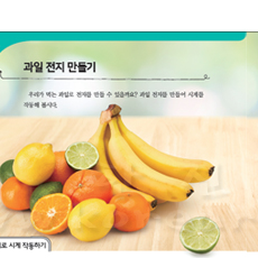 초등실험용늘봄교실 과일전지연결전기회로집게전선 전류흐름탐구초등과학악어클립전선 20cm 10개입 20cm전선 - 상세 이미지 2