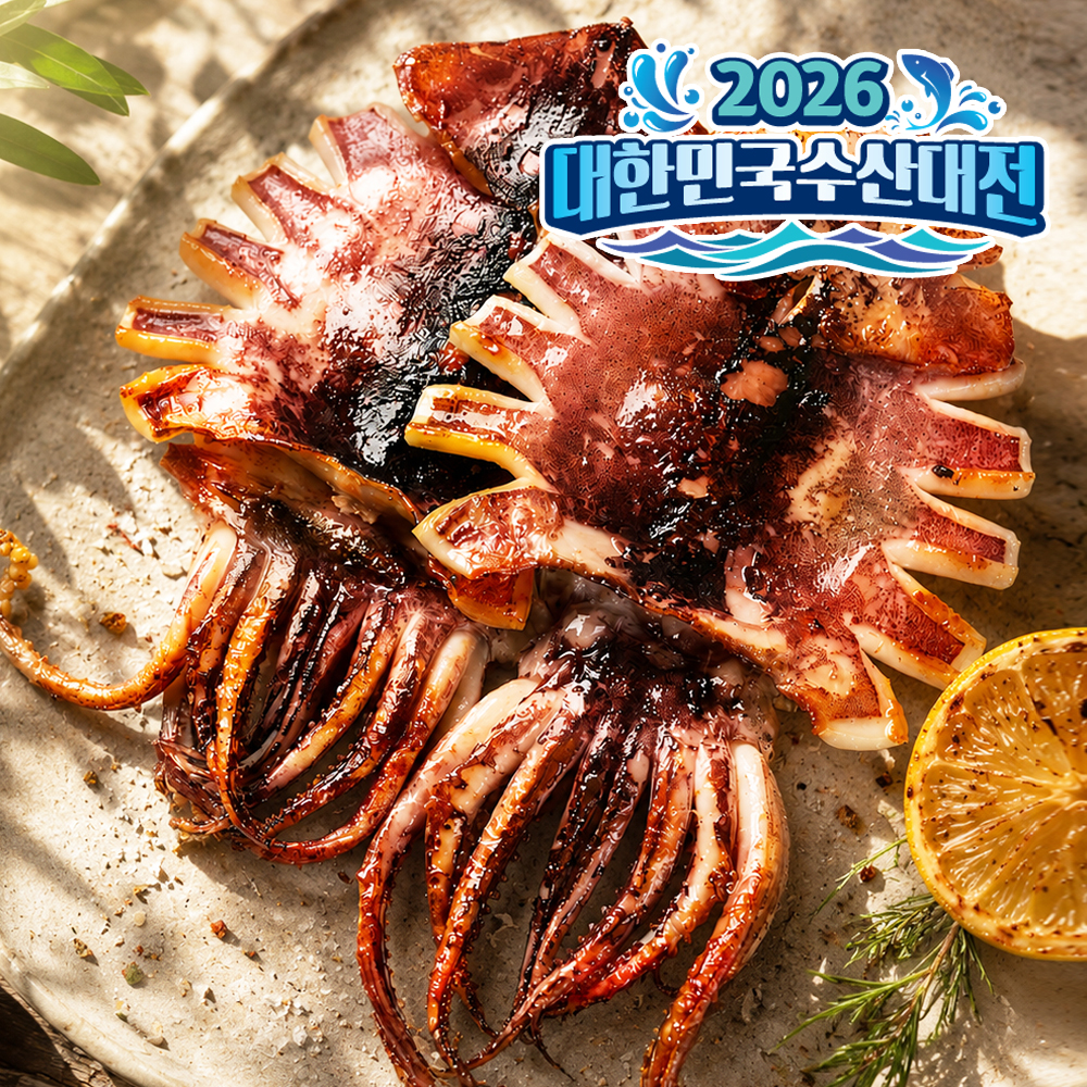 국내산 피데기 반건조오징어 반건오징어 10마리 건조 마른 오징어 캠핑음식 - 상품 이미지