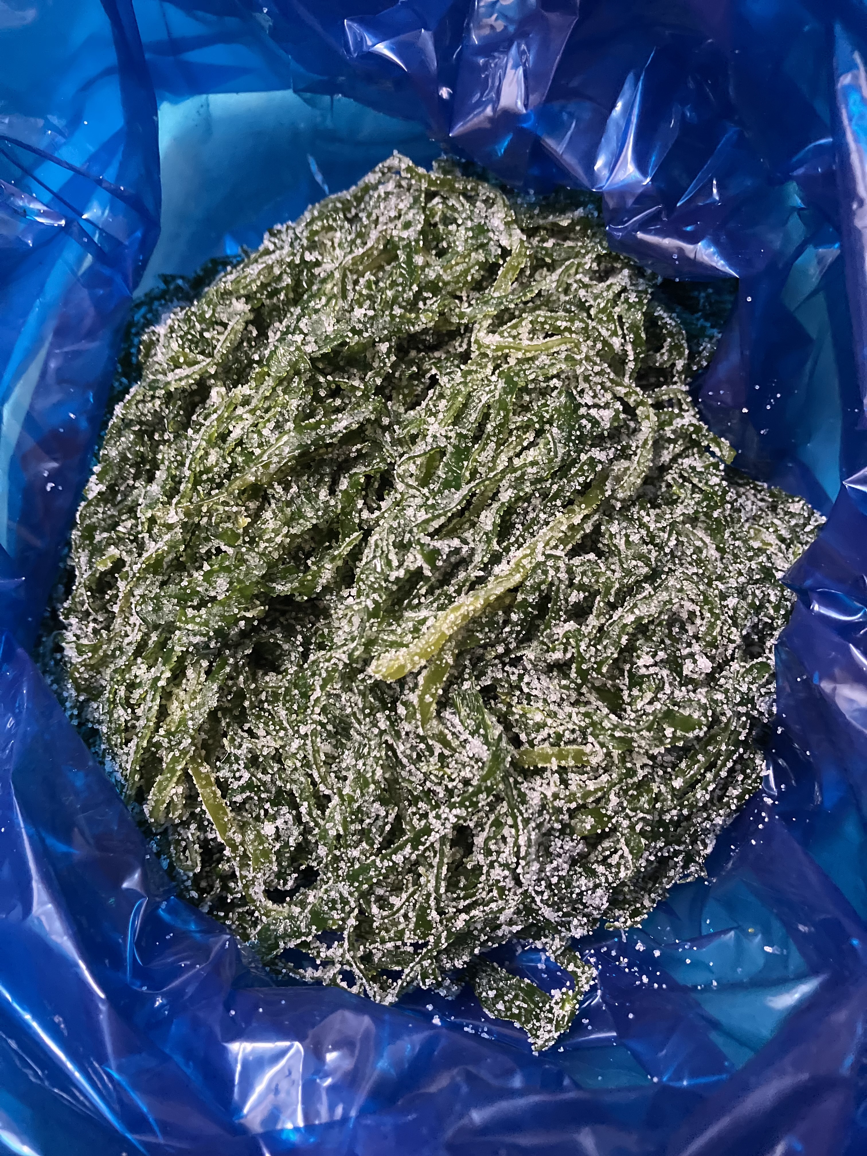 완도산 염장 채다시마 5kg 10kg 원산지 국산 전라남도 완도 - 상세 이미지 5