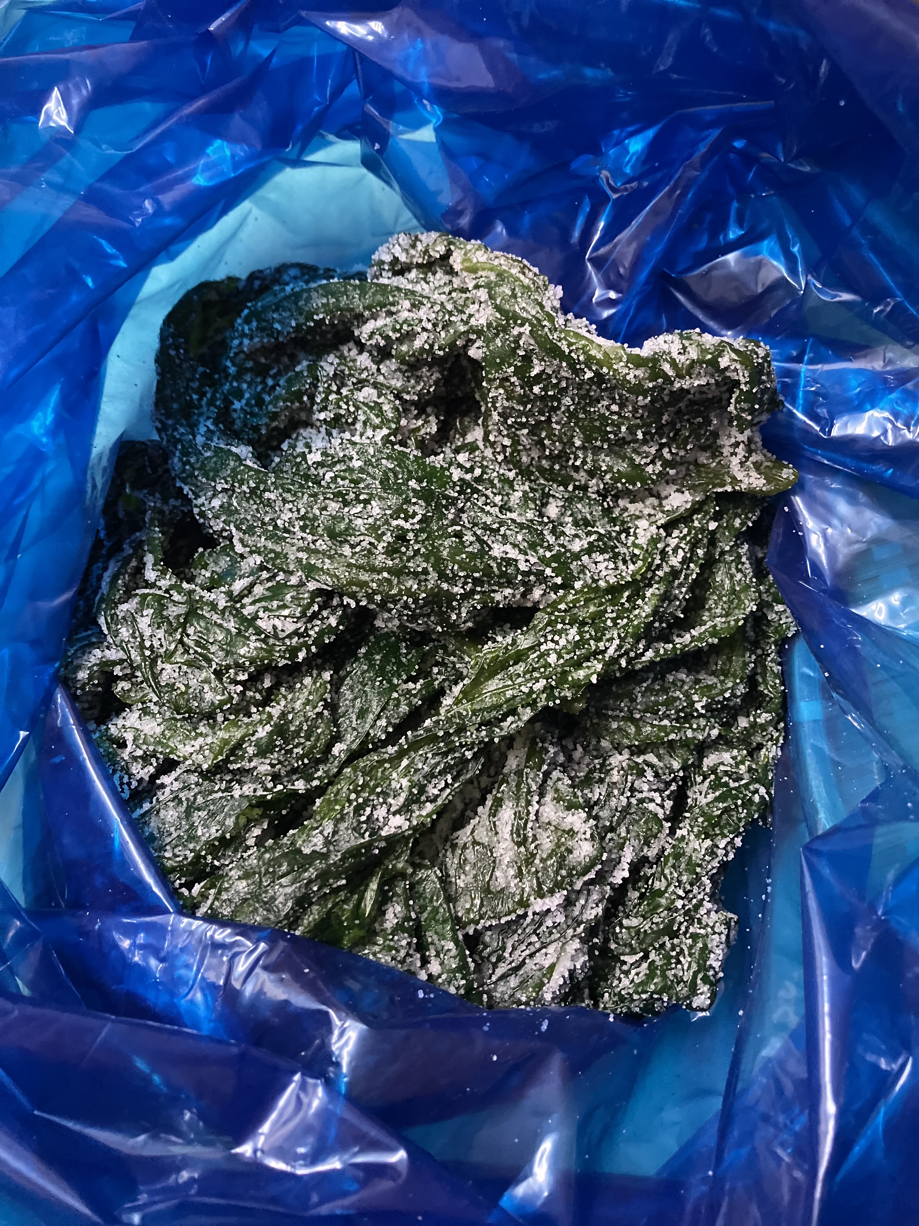 완도산 염장 쌈다시마 3kg 5kg 10kg 원산지 국산 전라남도 완도 이미지 6