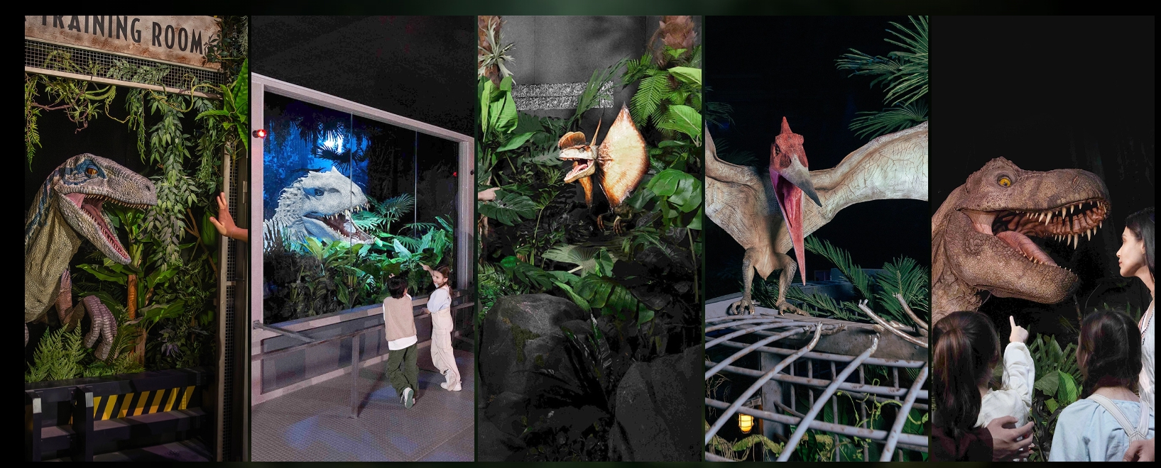 방콕 쥬라기 월드(Jurassic World) - 더 익스피리언스 공식 입장권 - 상세 이미지 5