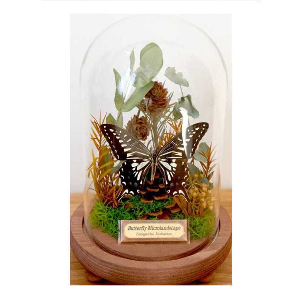 곤충 표본 교구 과학 나비 잠자리 장수풍뎅이 전시 A타입 12x19cm - 상품 이미지