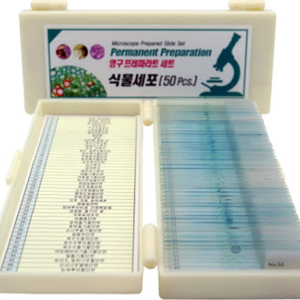동식물세포현미경관찰프레파라트세트 미생물관찰생물탐구영구프레파라트 초등과학교구현미경슬라이드 - 상세 이미지 2