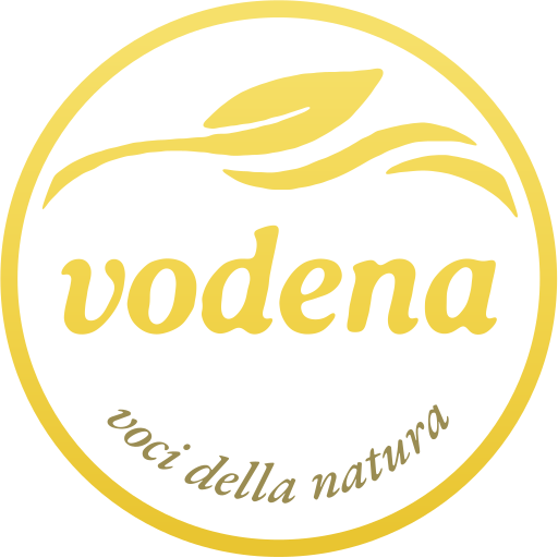 VODENA 스토어 로고