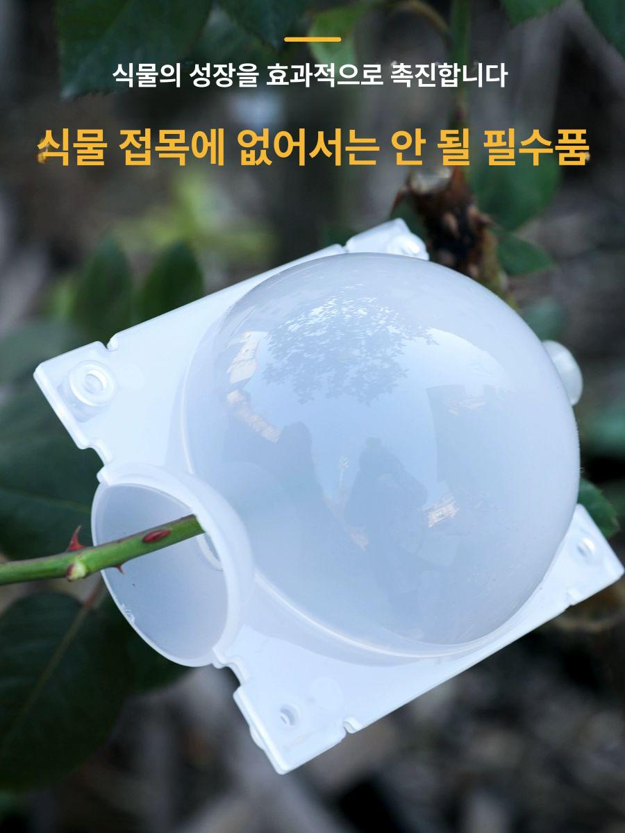 루팅볼 식물 취목볼 공중뿌리 접목 삽목 번식 포드 그린 소형 5cm (10개입) - 상세 이미지 2