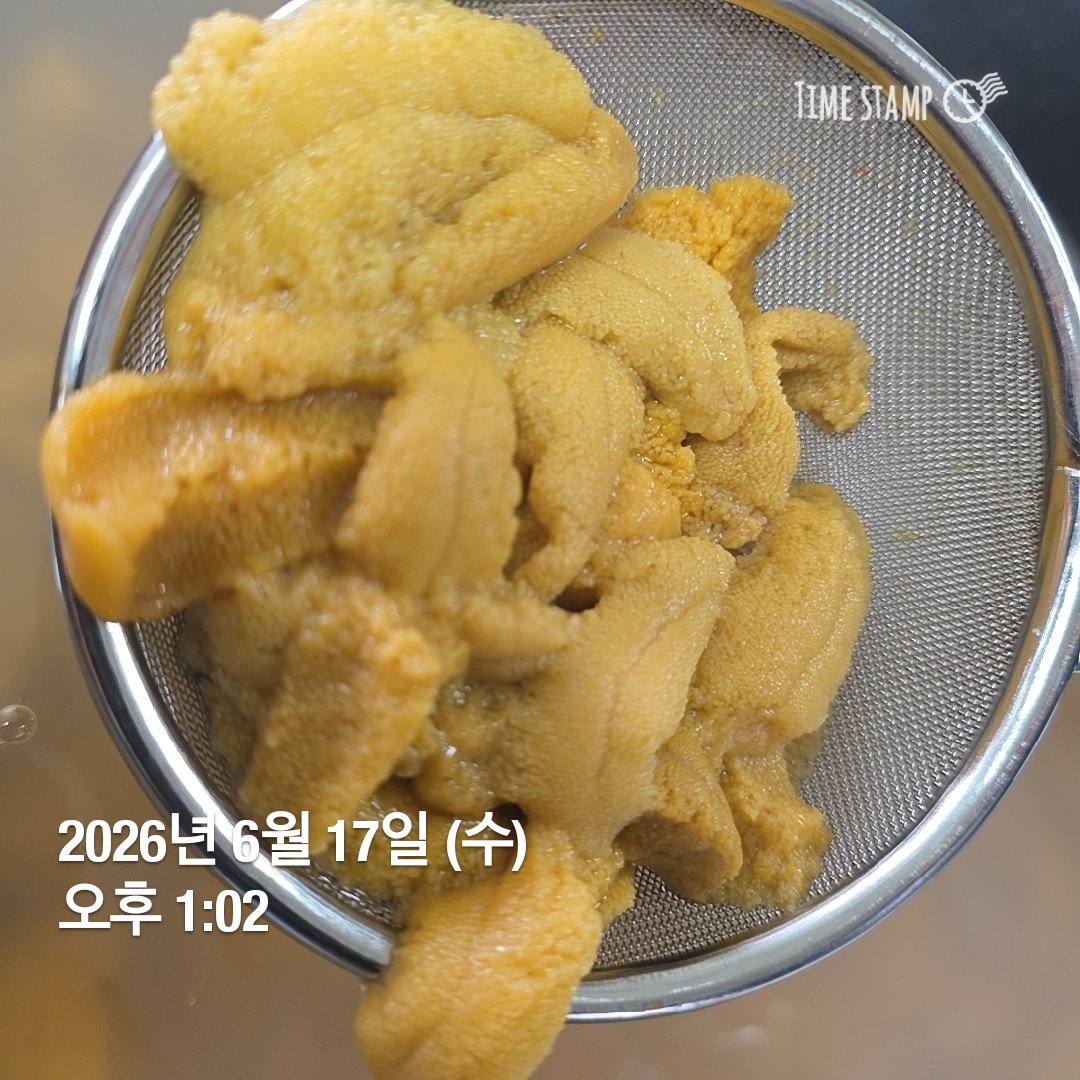생산자 직송 국내산 생물 보라성게 우니 성게알 200g, 1개 - 상세 이미지 3