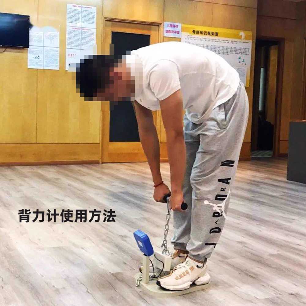 배근력 측정기 등 복근 집게력계 체육 전자식 학원 단일상품 - 상세 이미지 3