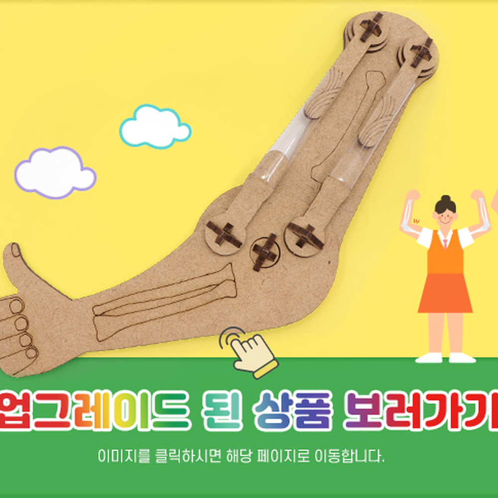 단체수업초등5학년1학기팔근육모형 해부학습늘봄교실팔근육만들기 인체탐구우리몸의구조인체모형만들기 5인세트 - 상세 이미지 3