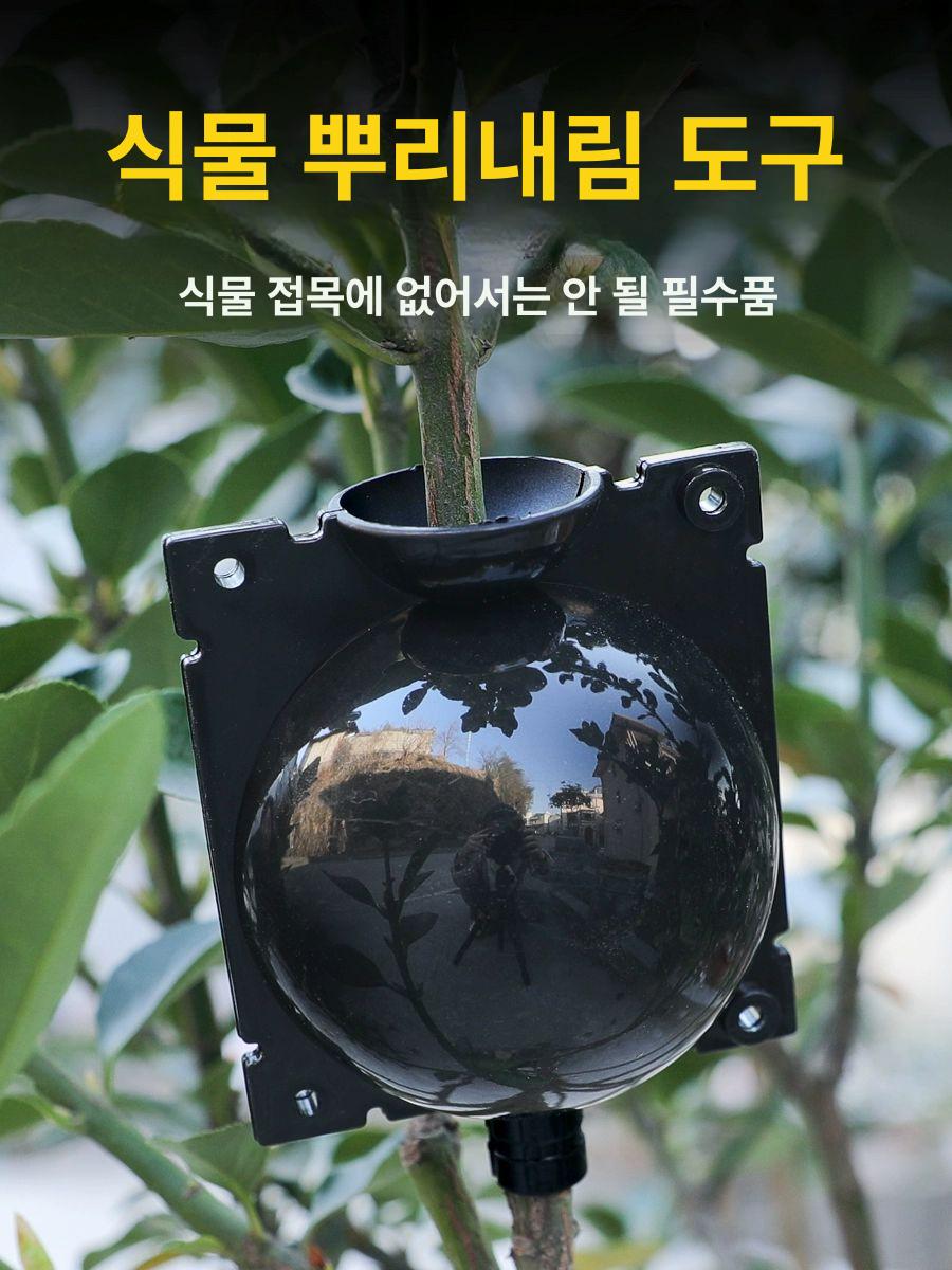 루팅볼 식물 취목볼 공중뿌리 접목 삽목 번식 포드 그린 소형 5cm (10개입) - 상세 이미지 5
