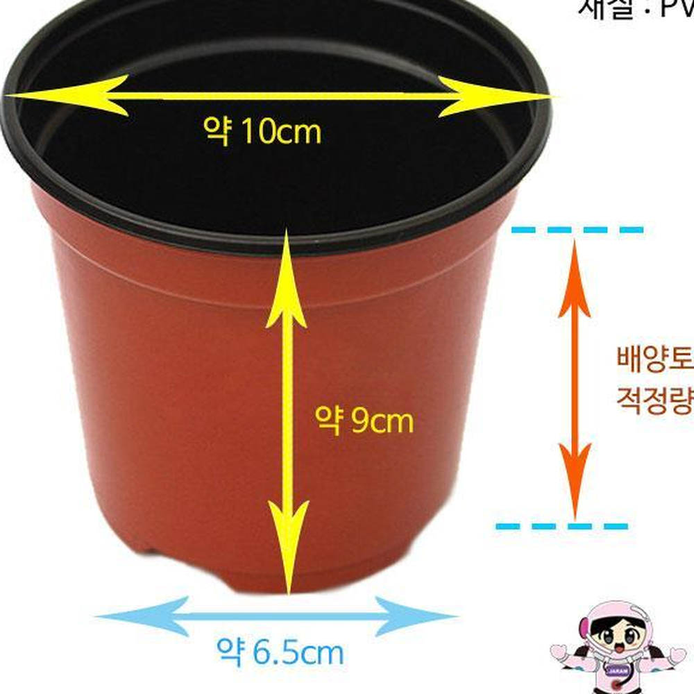 식물의한살이관찰 갈색플라스틱화분 미니새싹화분 4개입 씨앗심기수업 - 상세 이미지 3