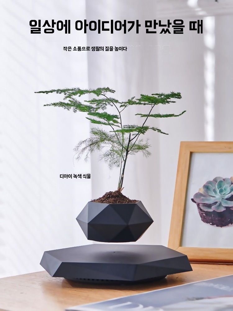 사기 화분 공중 부양 화분 마술 요술 물구멍 없는 화분 - 상품 이미지
