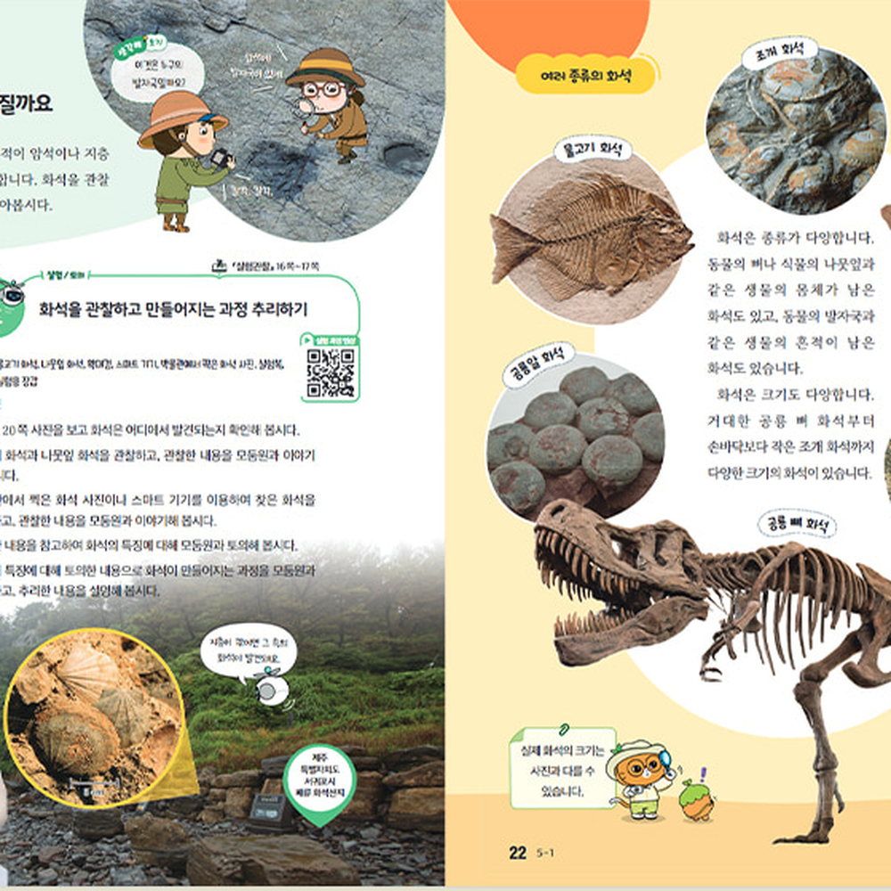 초등고학년초등화석발굴키트 방과후수업지질탐험학습교구 지구과학실험화석관찰과학세트 6종 - 상세 이미지 2