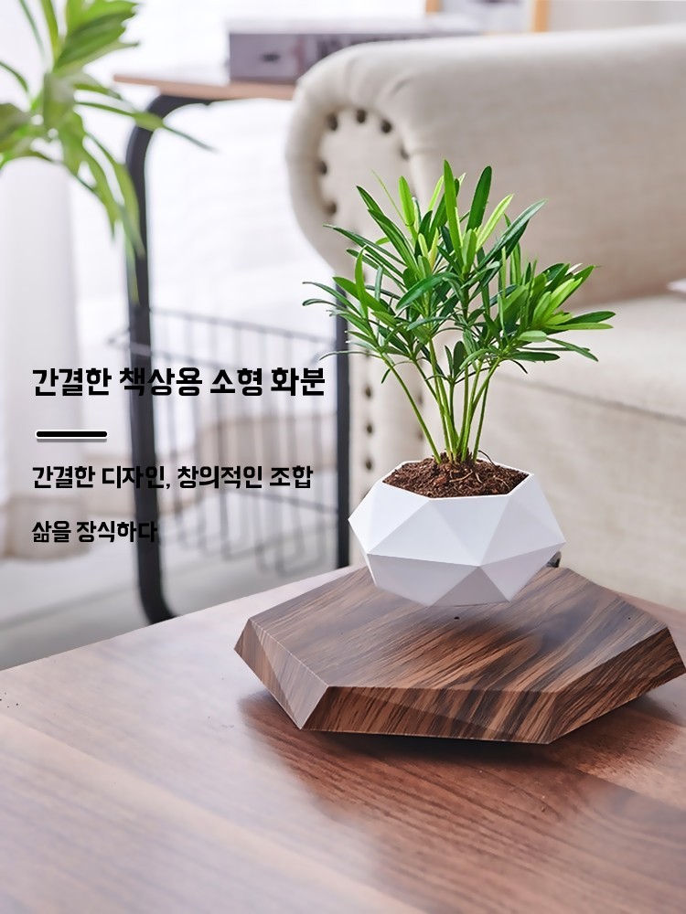 사기 화분 공중 부양 화분 마술 요술 물구멍 없는 화분 - 상세 이미지 3