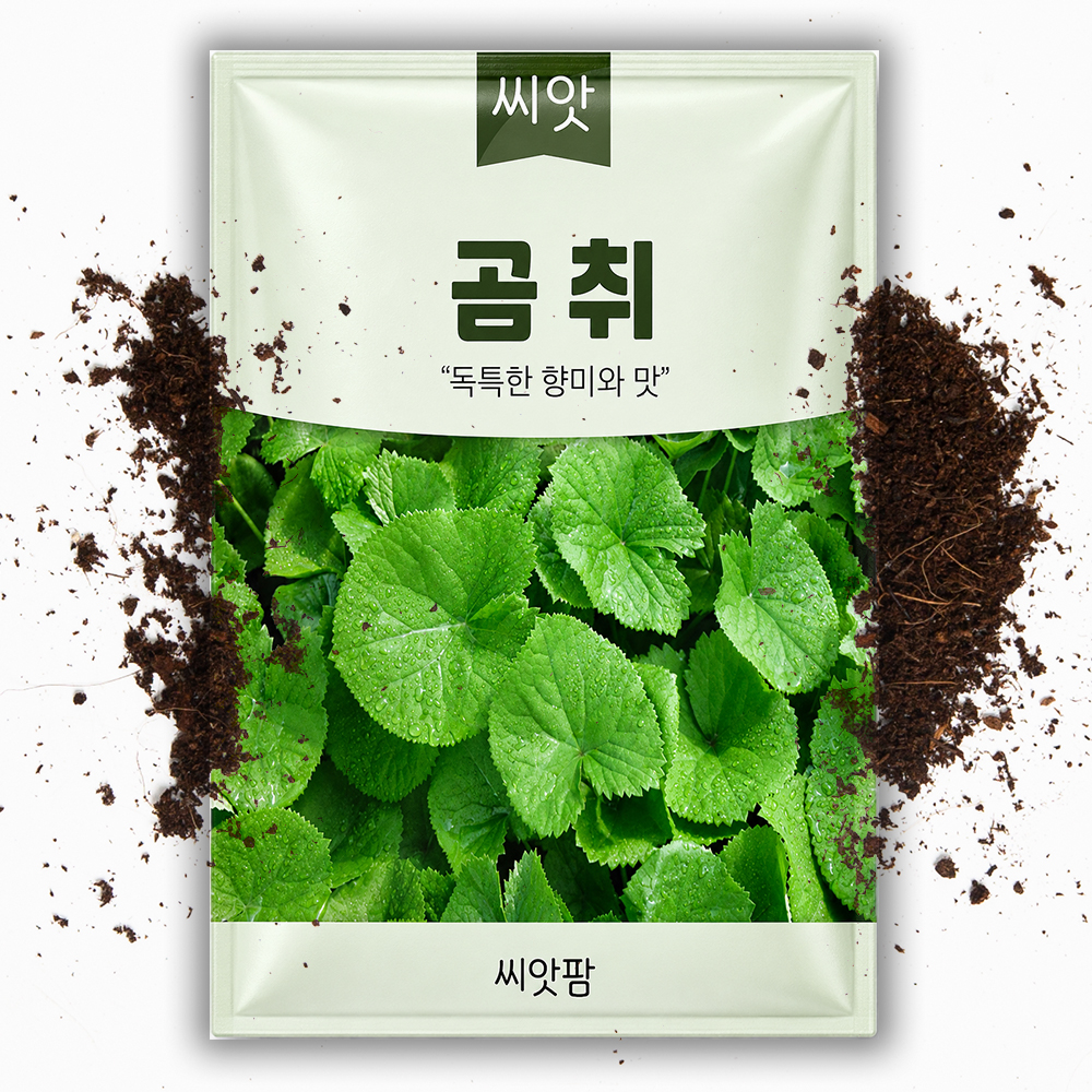 곰취 씨앗 100립 곰취 씨 봄나물 씨앗 종자 - 상품 이미지