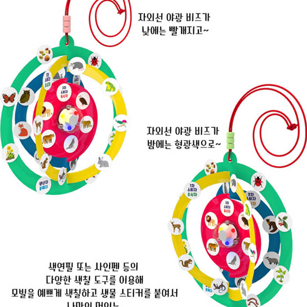 초등탐구생물다양성 LED발광방과후수업먹이사슬모빌 초등과학먹이그물모빌 1인세트 - 상세 이미지 3