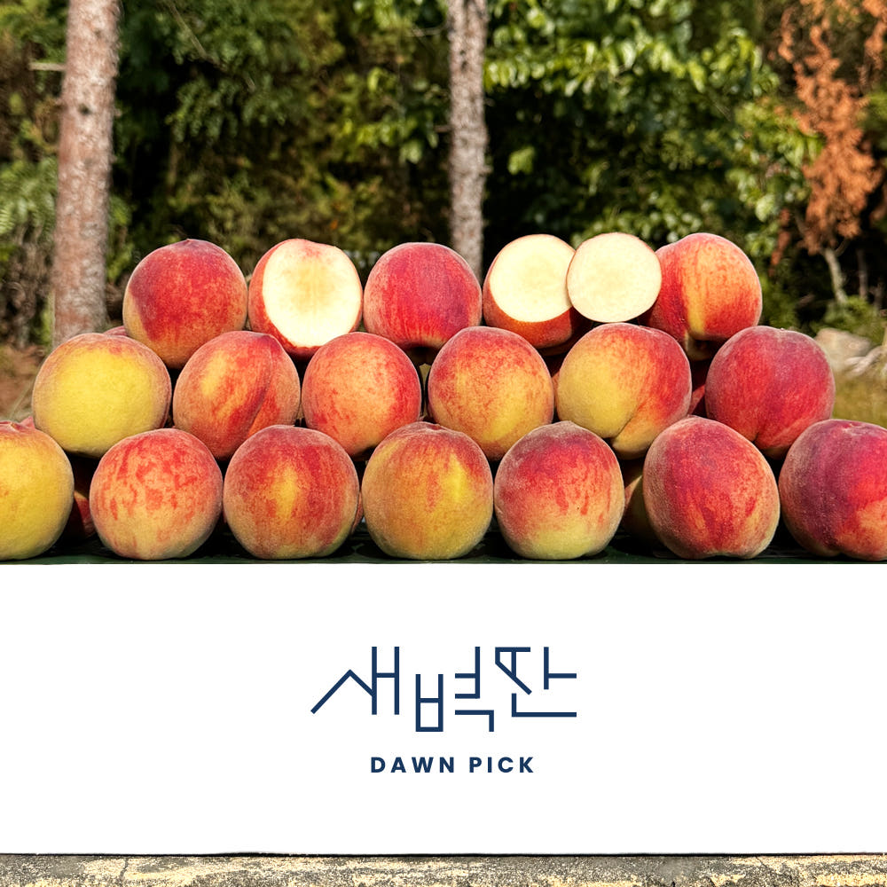 새벽딴 영천 황도 백도 복숭아 2kg 4kg