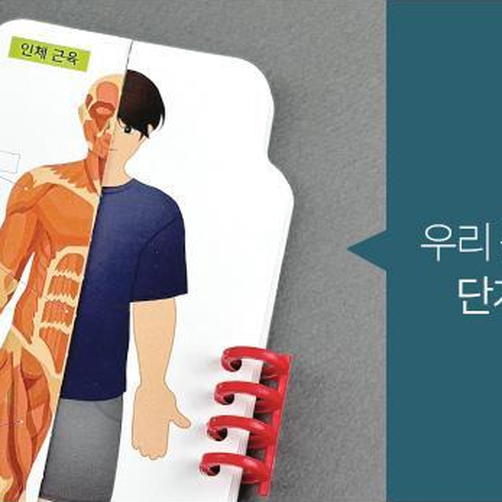 바인더노트형 인체구조그림책 근육 골격 신경 내부기관관찰교구 - 상세 이미지 3