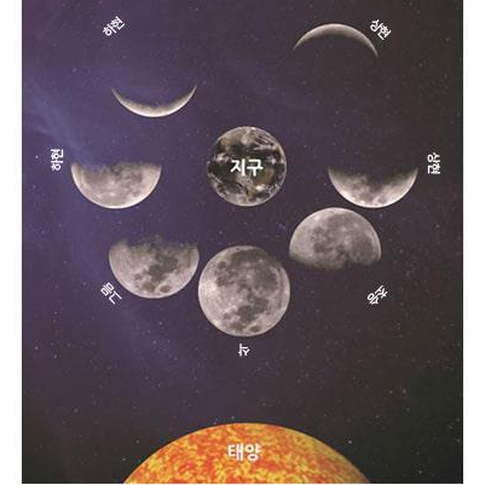 나무스틱 달의위상변화스크래치페이퍼 긁는그림종이 과학미술연계수업 - 상세 이미지 2