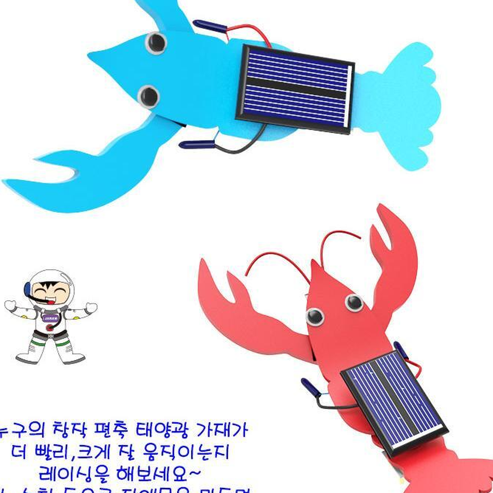 EVA편축 모터진동 태양광작동가재로봇 초등야외과학실험 5세트 - 상세 이미지 3