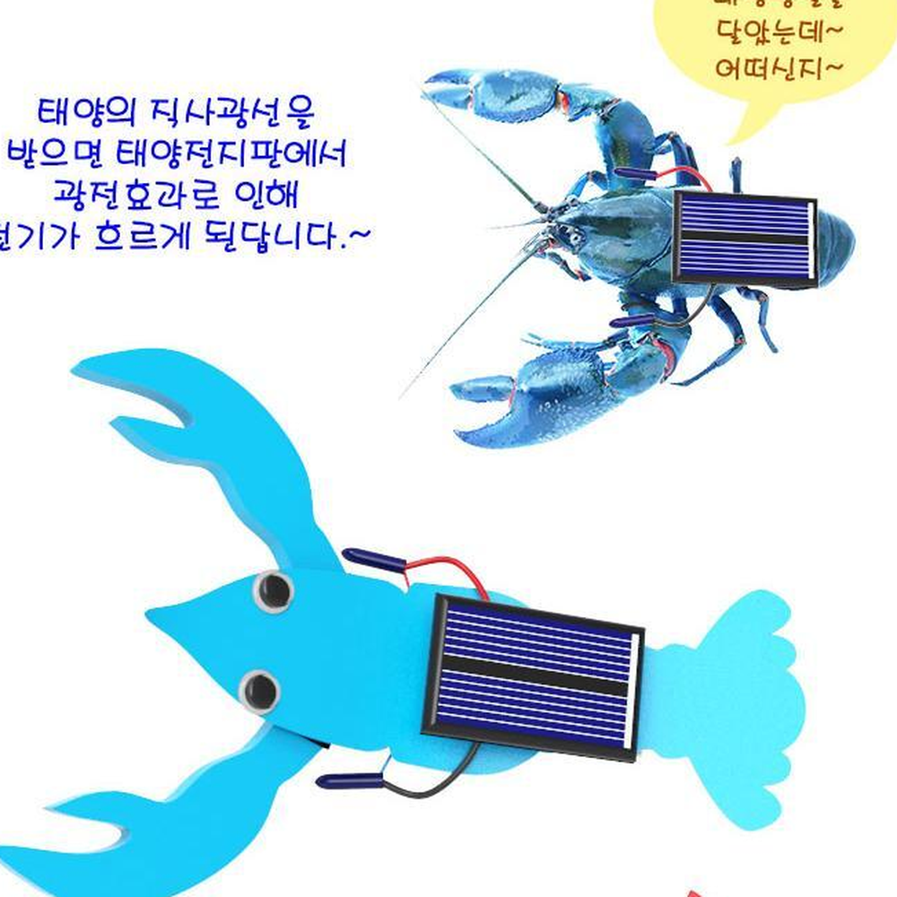 EVA편축 모터진동 태양광작동가재로봇 초등야외과학실험 5세트 - 상세 이미지 2