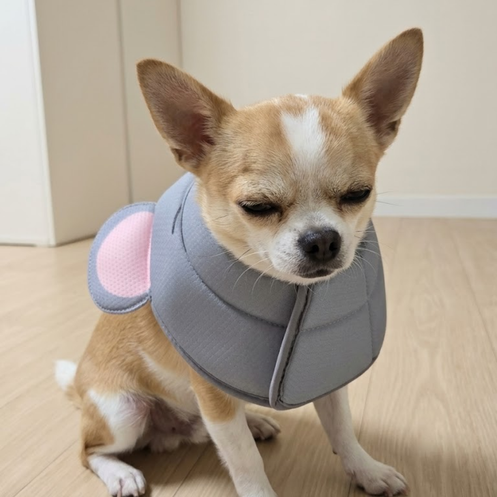 바람솔솔 상처보호 드림베이스 통기성 초경량 넥카라 강아지 고양이 수술 상처 목보호대 모찌마우스, S 이미지 6