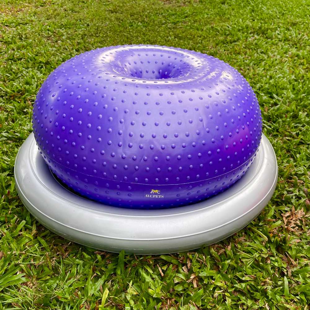 강아지 짐볼 퍼핑 코어 훈련 밸런스볼 슬개골운동 블루 - 상세 이미지 2