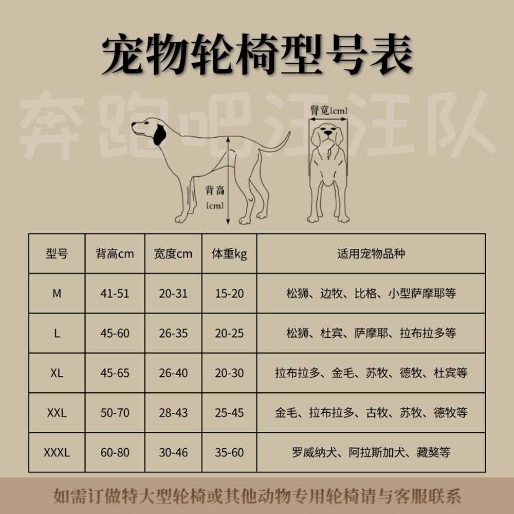 대형견 뒷다리 보조기 재활 기구 강아지 다리 반려견 M - 상세 이미지 5