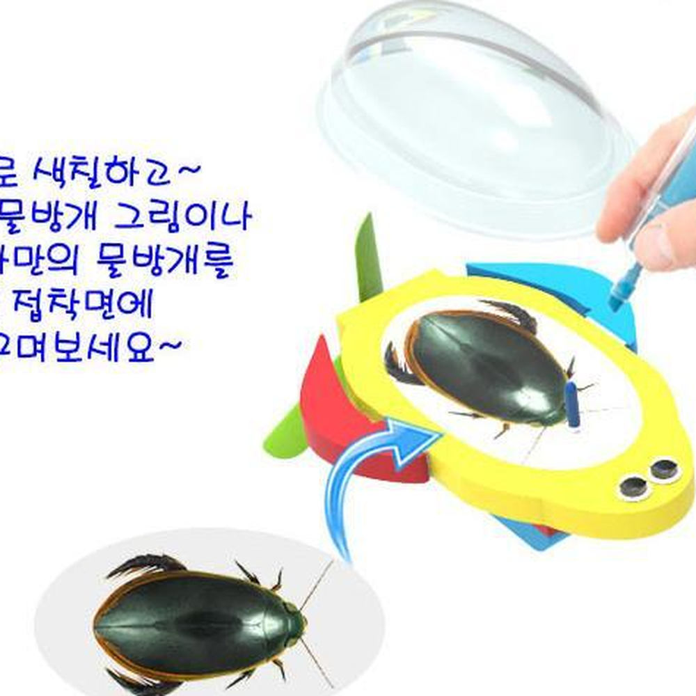 고무줄와인드 물방개 색칠창작보트 쉬운과학실험키트 10세트 - 상세 이미지 5