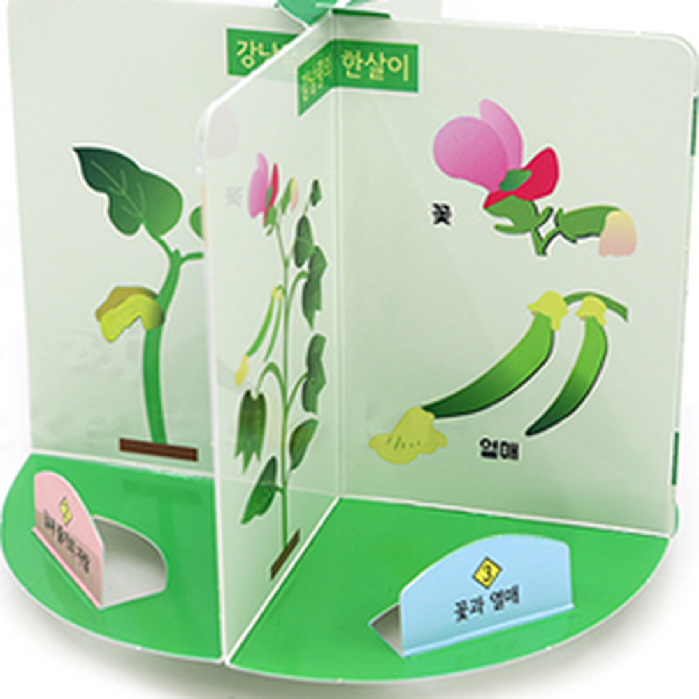 회전식관찰판초등저학년과학강낭콩한살이키트 자기주도학습늘봄교실강낭콩관찰키트 탐구학습유발방과후수업 - 상세 이미지 2